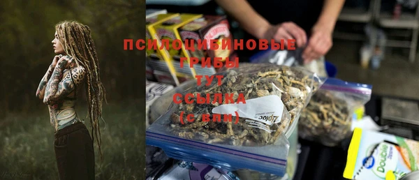 СК Алзамай