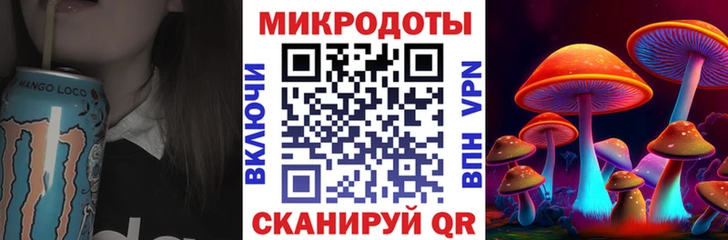 Псилоцибиновые грибы Psilocybe  Чёрмоз 